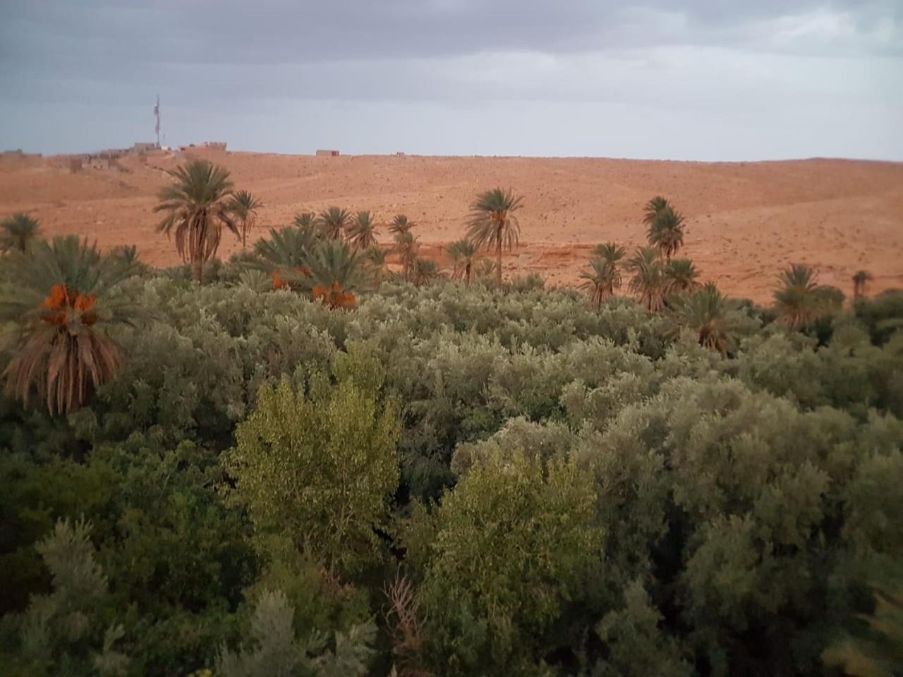Riad Dar Bab Todra Tinghir Luaran gambar